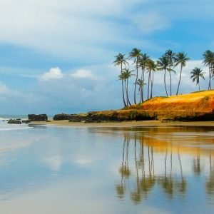Seashore and Palm Trees, Brazil