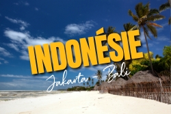 Indonésie Jakarta Bali s