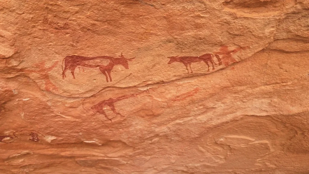 جانت الجزائر 