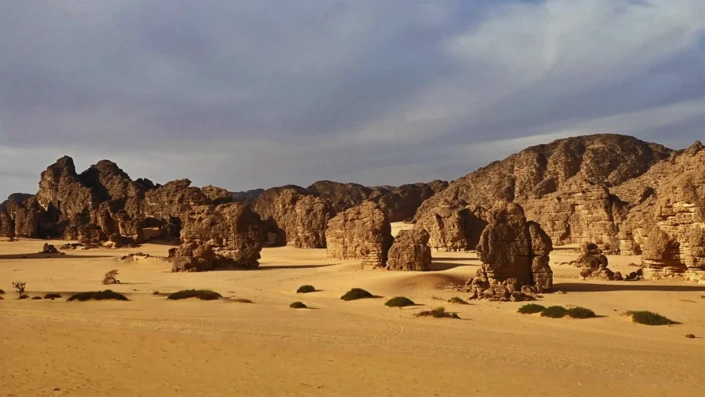 Джанет Сахары