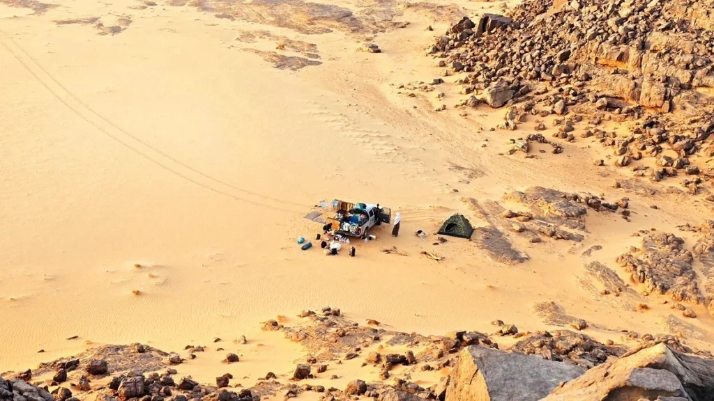 Джанет Сахары