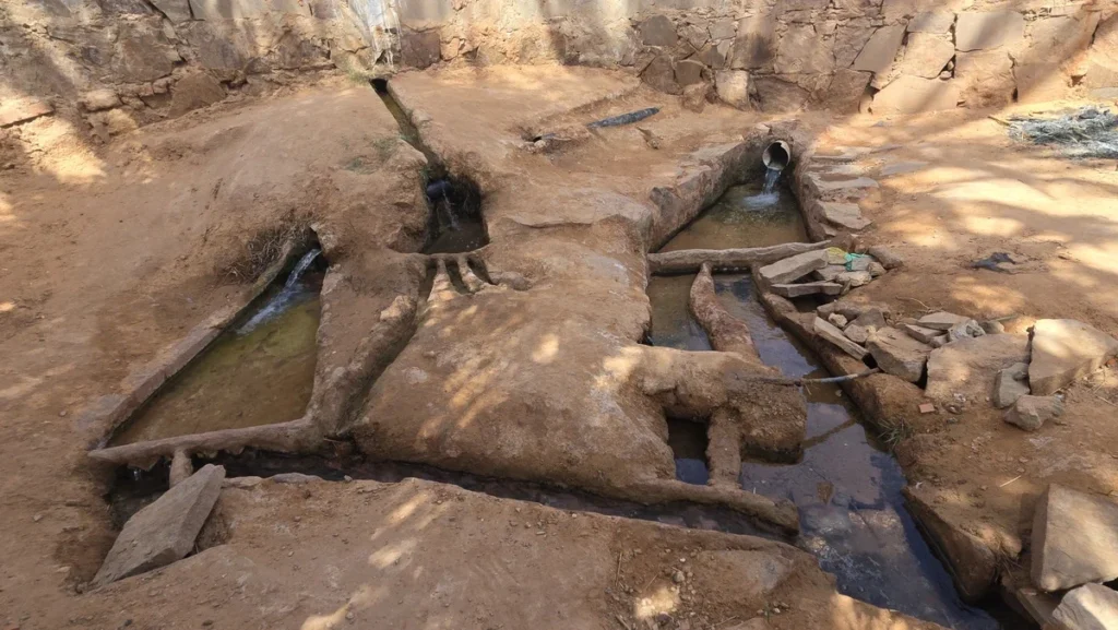 Timimoun Algeria (29)