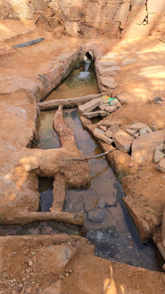 Timimoun Algeria (30)