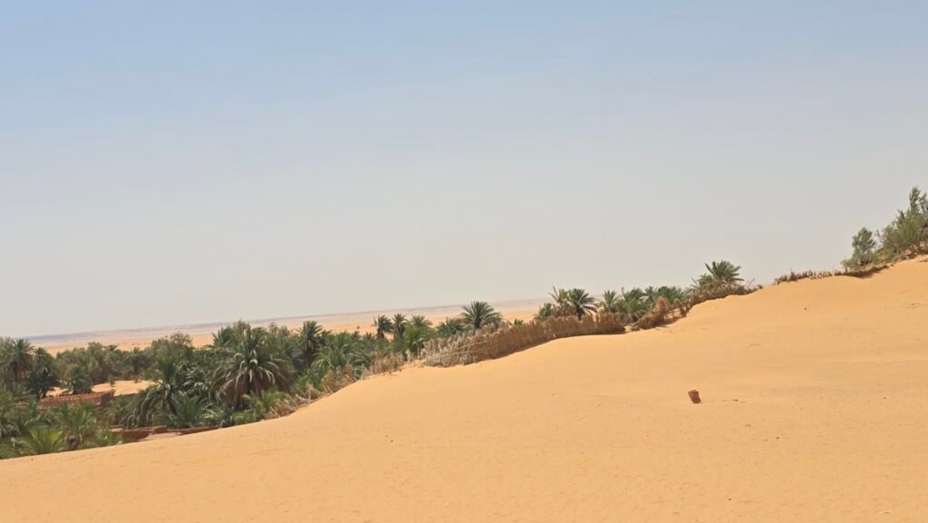 Timimoun Algeria (34)