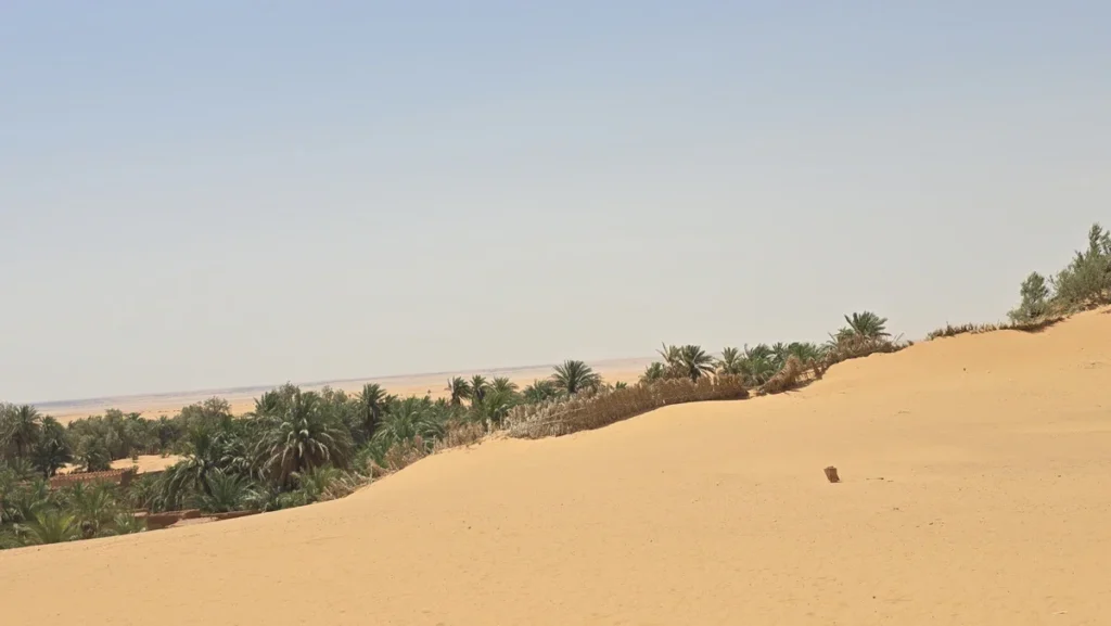 Timimoun Algeria (34)