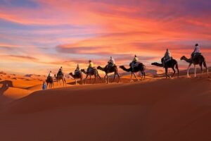 camel trek Algeria