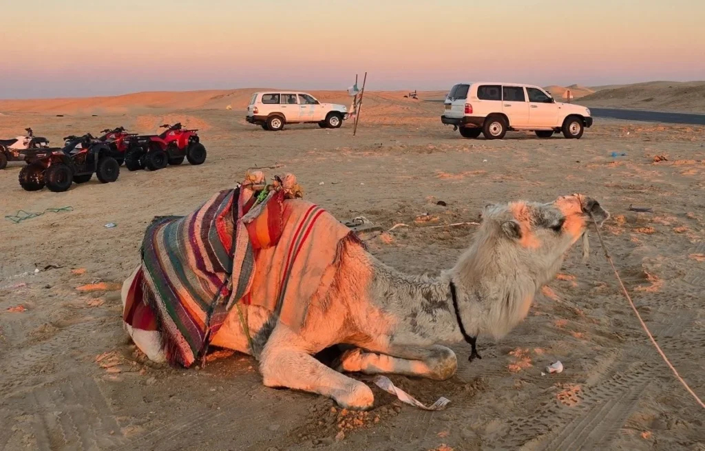 Algeria Desert Tour Bou Saada – Biskra – El Oued ()