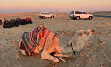 Algeria Desert Tour Bou Saada – Biskra – El Oued ()