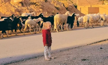 Algeria Desert Tour Bou Saada – Biskra – El Oued ()