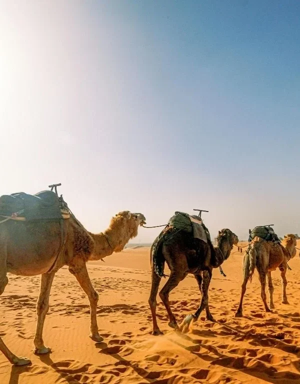 Assekrem Hoggar Algeria ()