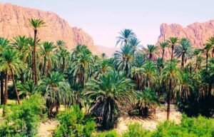 Bou Saada Biskra El Oued tour