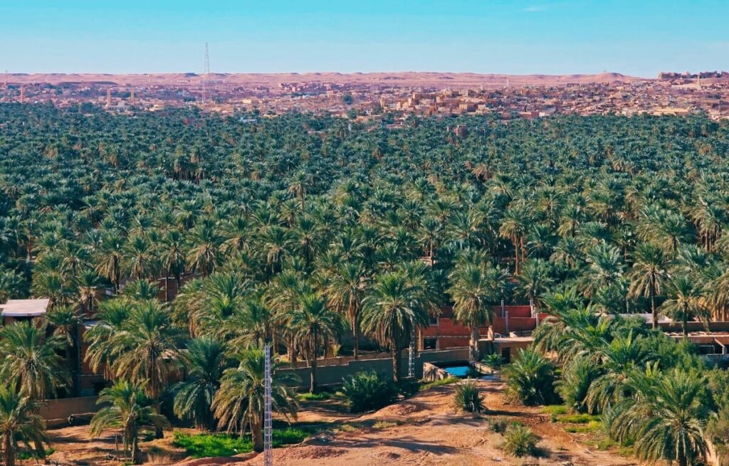 Ghardaia MZab Valley Algeria