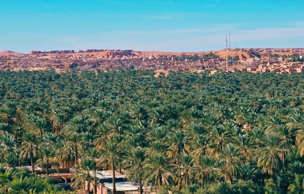 Ghardaia city tour Algeria ()