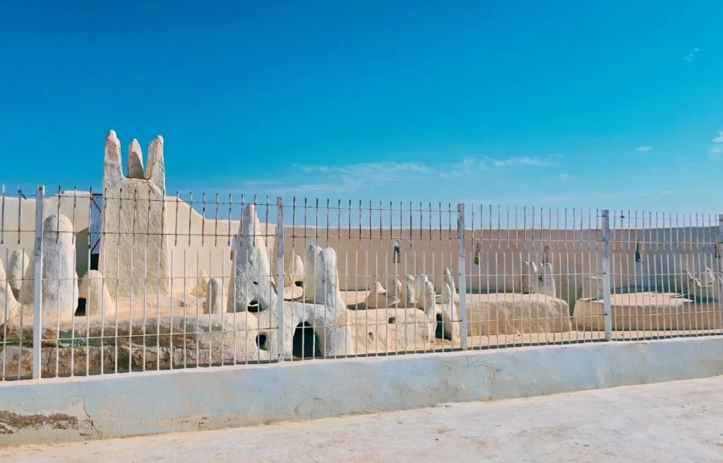 Ghardaia city tour Algeria ()