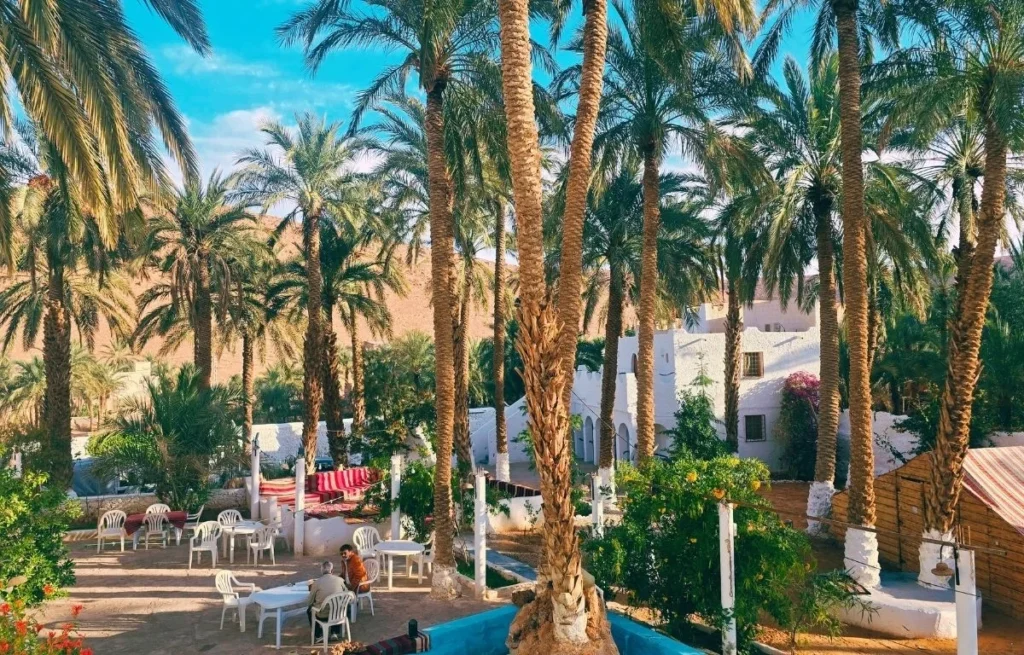 Ghardaia city tour Algeria ()