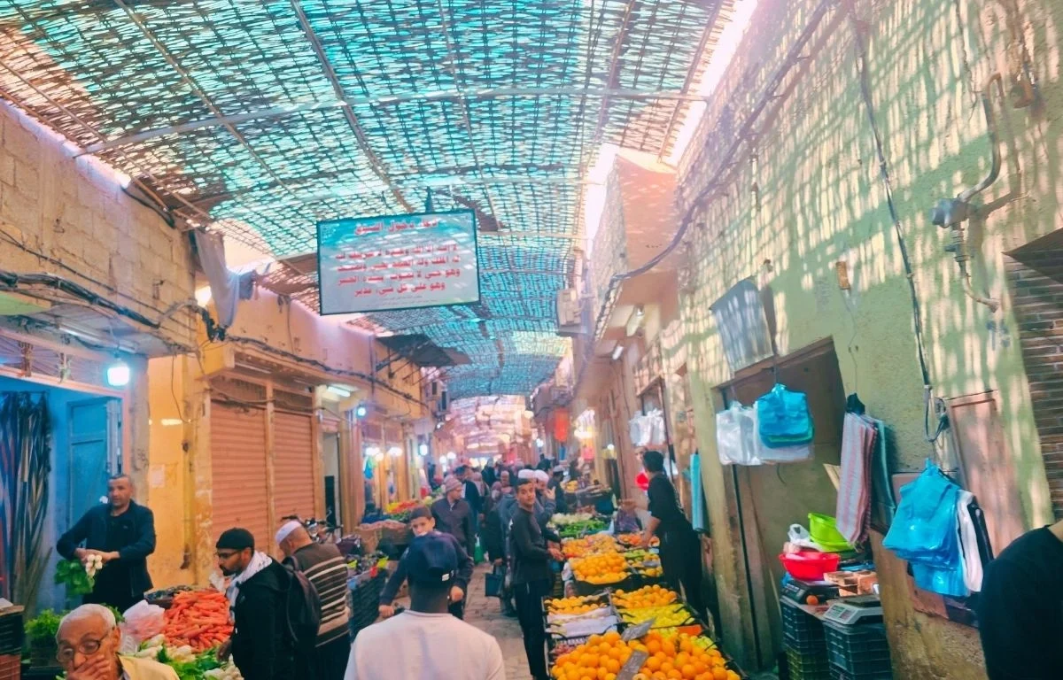 Ghardaia city tour Algeria ()