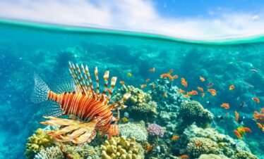 Sharm El Sheikh Égypte ()