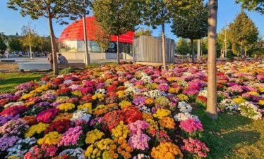 Zaryadye Park russia