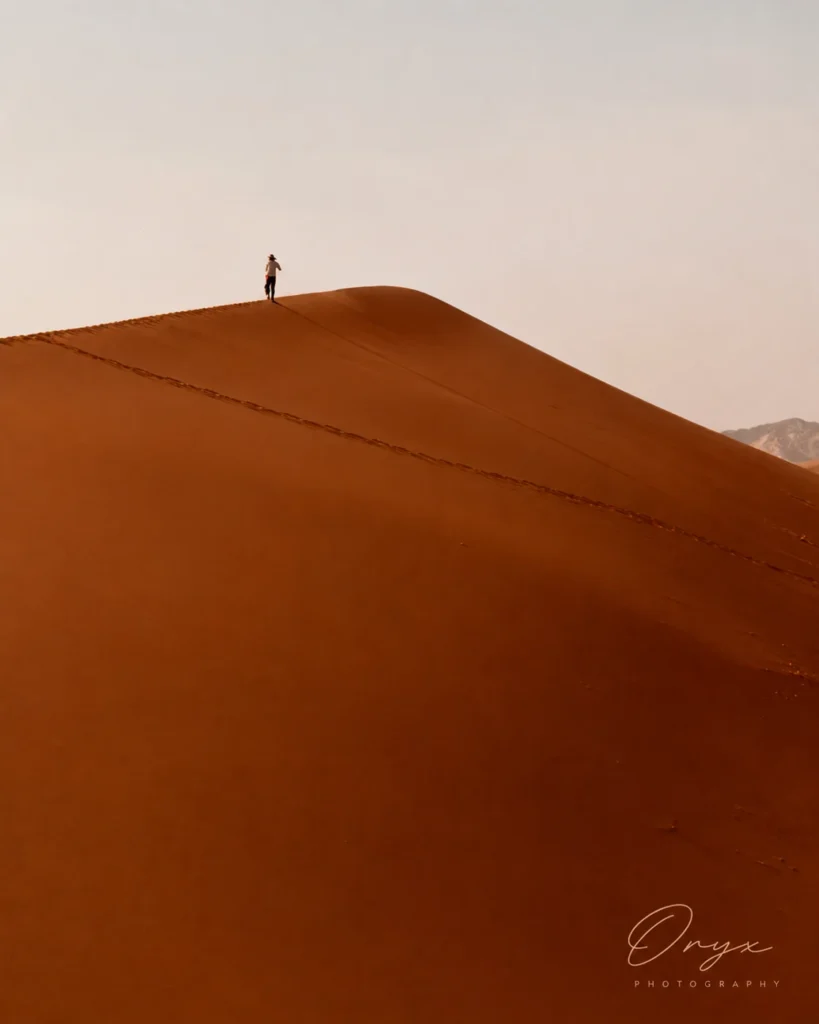 Oryx Photography Signature Web Optimized