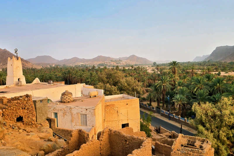The Sahara of Oases ALgeria