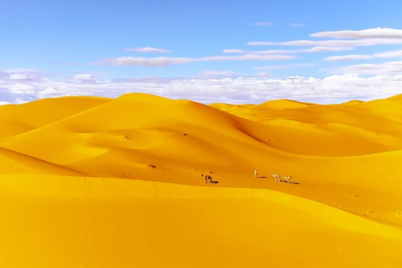 The Sahara of Sand Taghit Algeria