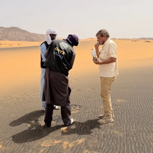 tuareg guides assisting traveler sahara djanet